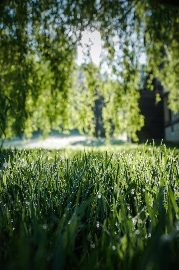 L'Herbe Haute 翁弗勒尔 外观 照片